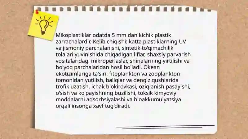 Plastik chiqindilarning okeanlarga ta'siri 4