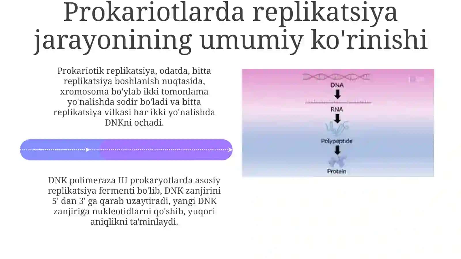 Prokariotorganizmlar replikatsiyasi 4