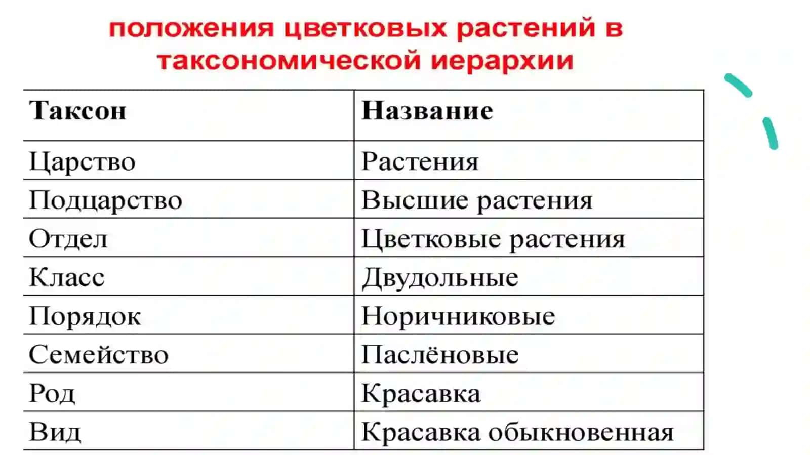 ПЕРВЫЙ РАЗДЕЛ БОТАНИКИ 4