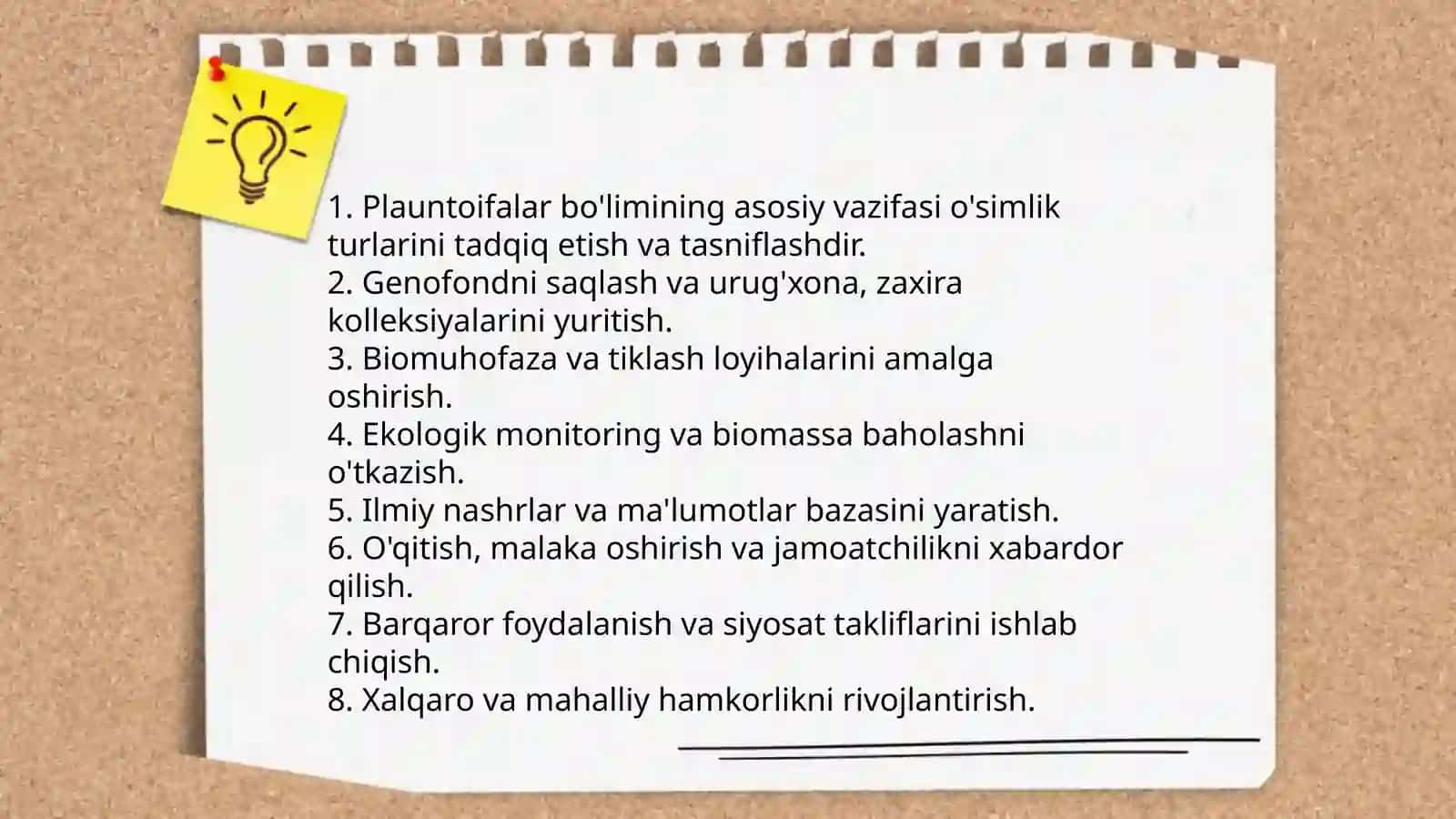 Plauntoifalar bo'limi 4