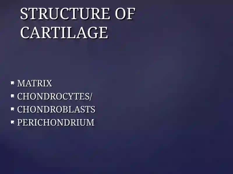 Cartilage and bone. Hyaline, elastic cartilago and fibrocartilago 4