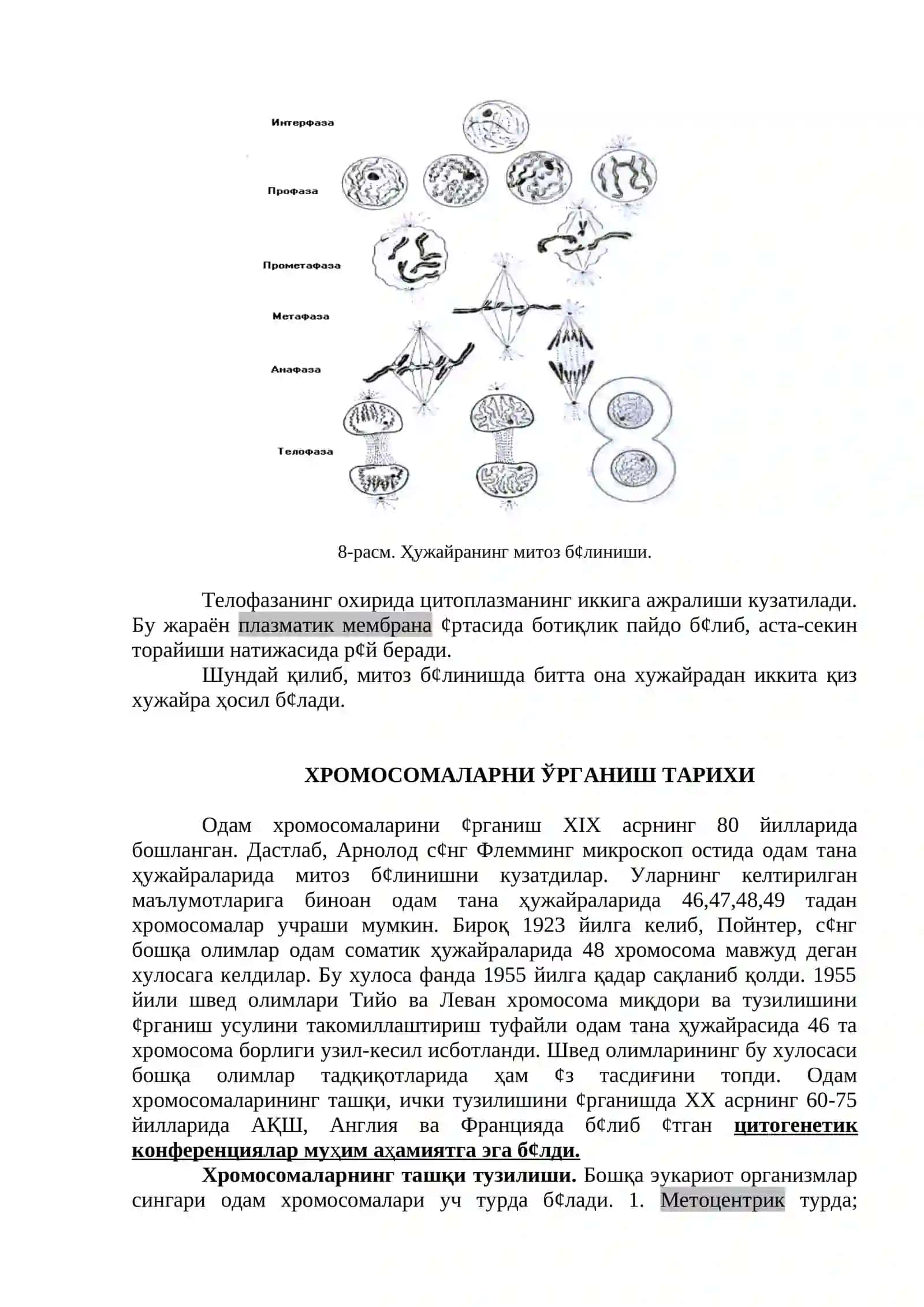 Одам ирсиятининг моддий асослари. 4