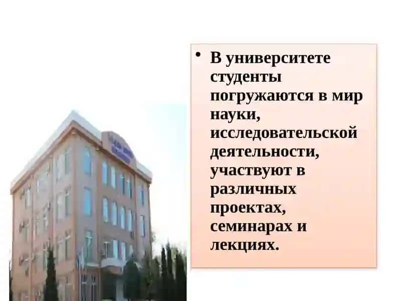 Университет 4