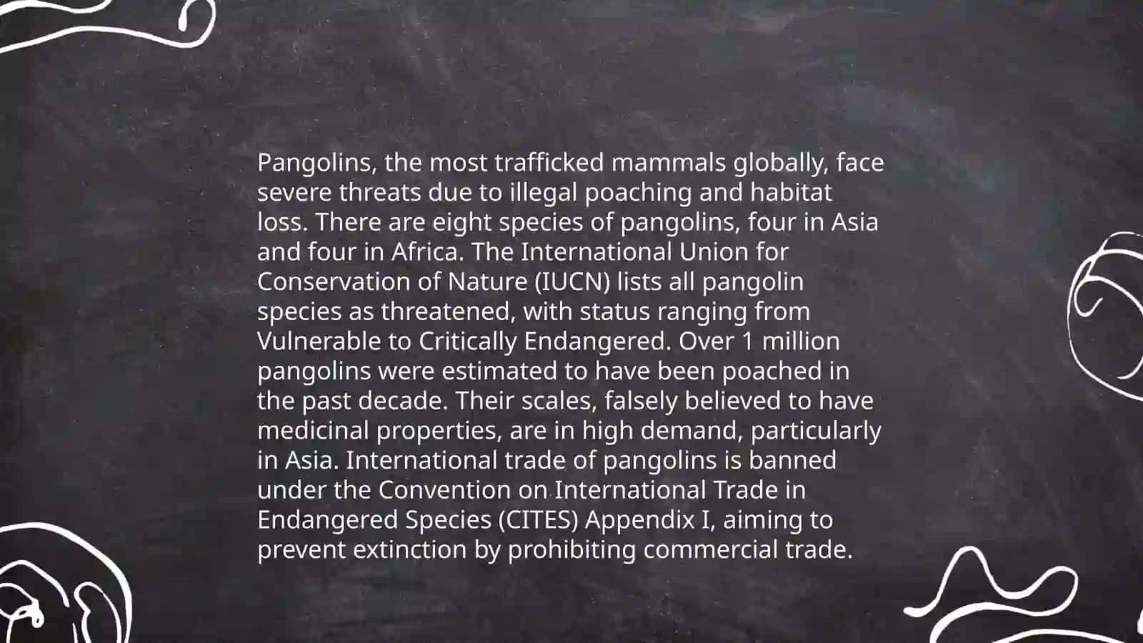 Strange animals in 4