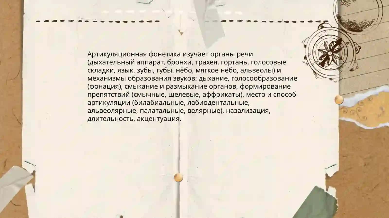 Звуки речи и направления в их изучении 4