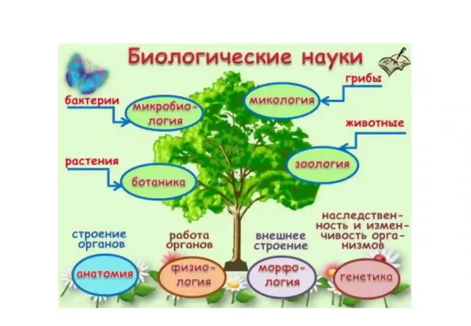 biologiya hayot haqidagi fan 4