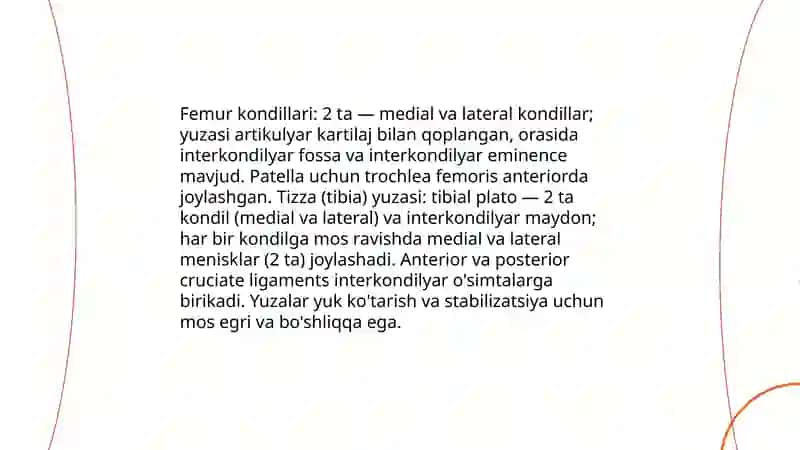 Tizza bo'g'imi anatomiyasi 4
