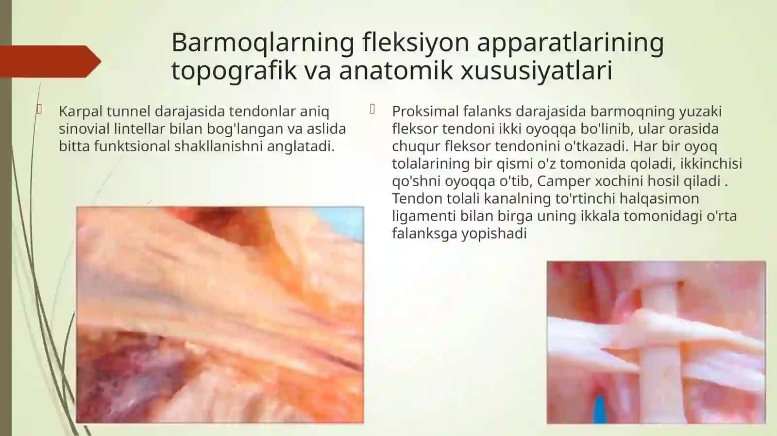 Qoʻl-oyoq barmoqlari paylari shikastlanishlari 4