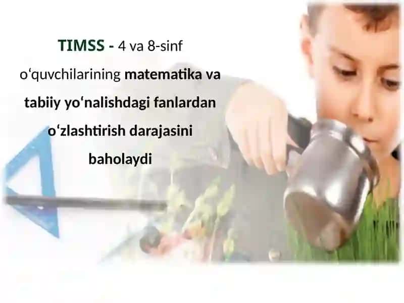 TIMSS XALQARO TADQIQOTLARI 4