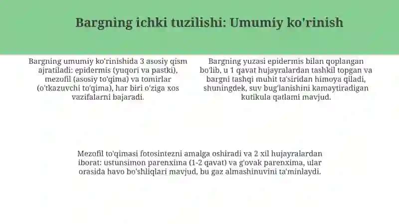 Bargning anatomik tuzilishi 4