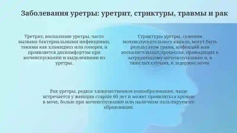 Мочеиспускательныйканал 4