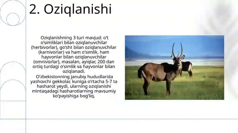 Kupayishi, tarqalishi va turlari 4