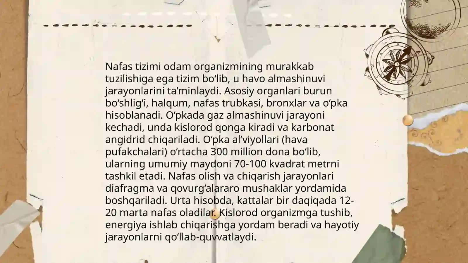 Hayvonlarda Nafas tizimi a'zolarini tekshirish 4