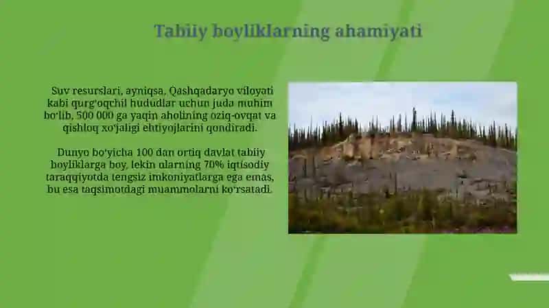 Tabiiy resurslar va ularning klassifikatsiyalari 4