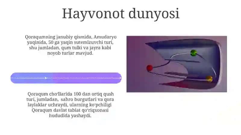 Qoraqum polegeografiyasi 4