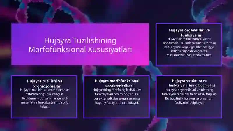 Hujayra tuzilishi.Hujayra nazariyasi.Hayvon va odam xromosomalarining morfofunksional xarakteristikasi. 4