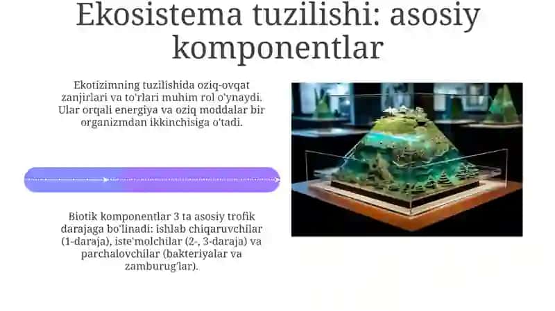 Ekotizimlarning tuzilishi va faoliyati 4