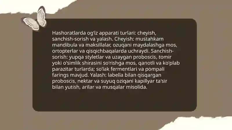 Hashoratlarning Tashqi tuzilishi 4