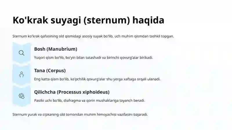Ko'krak qafasi: Qovurg'alar va Ko'krak suyagi 4