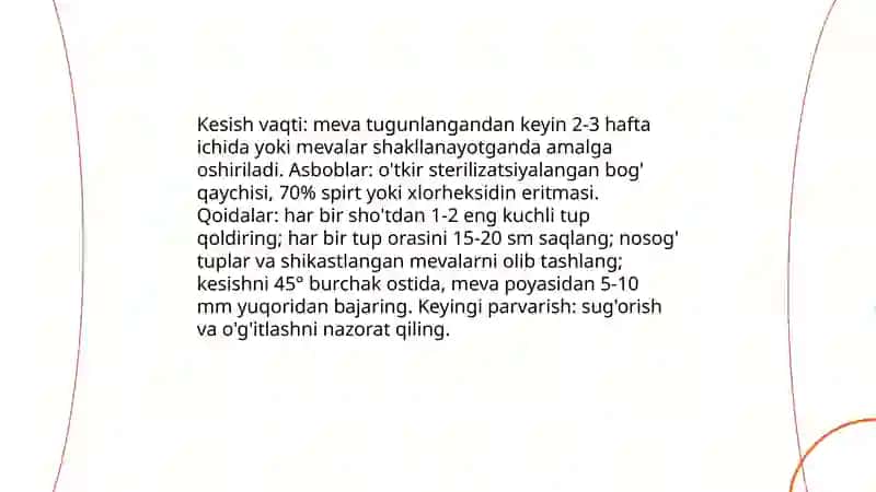 Uzumning xo'raki navlari tuplarini kesish 4