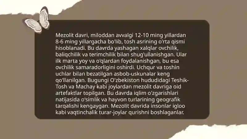 Mezolit davri 4