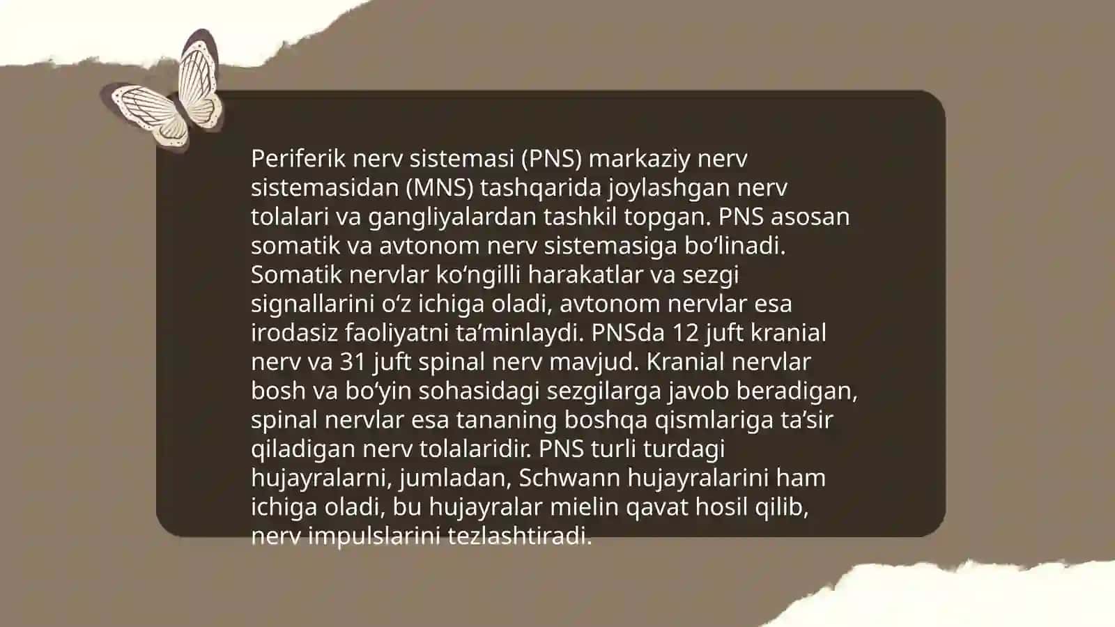 Nerv sistemasining tuzilishi 4