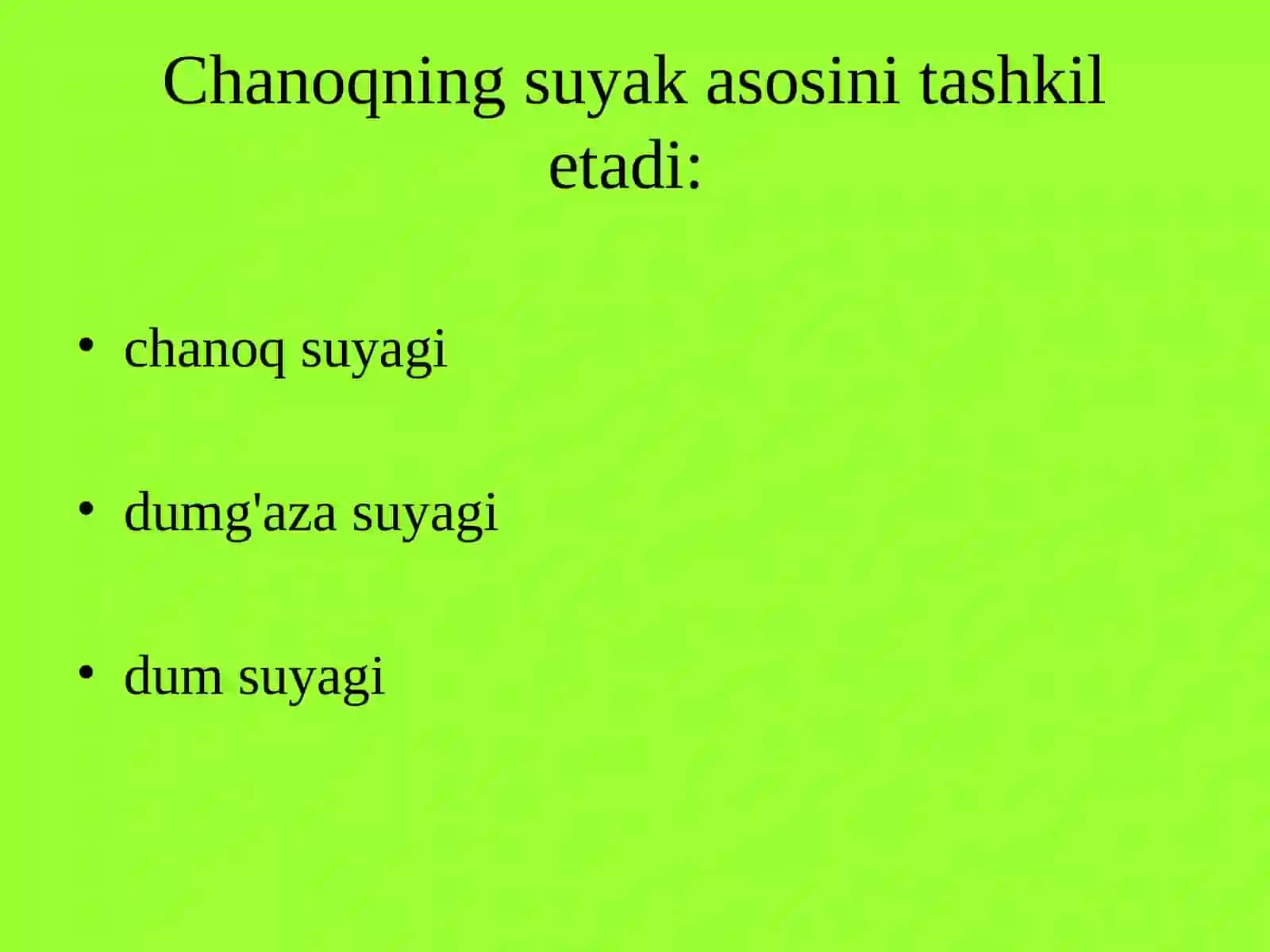 Tos chanog'i topografikanatomiyasi 4