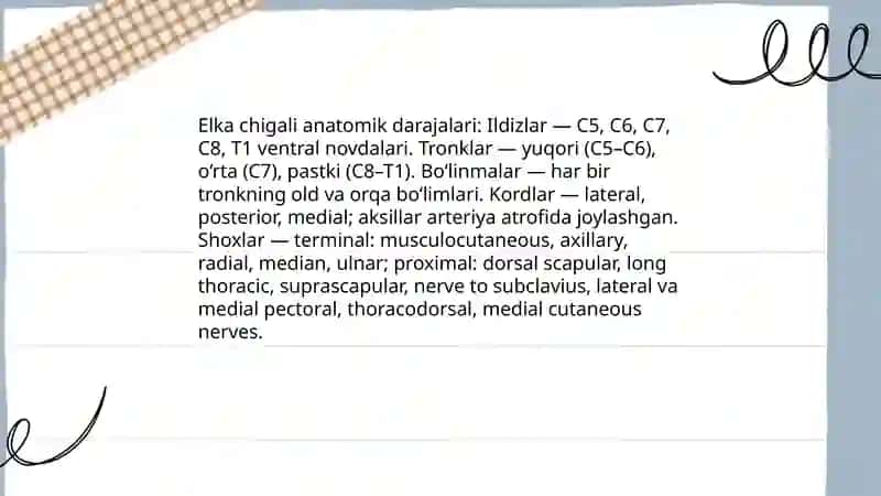 Elka chigali anatomiyasi 4