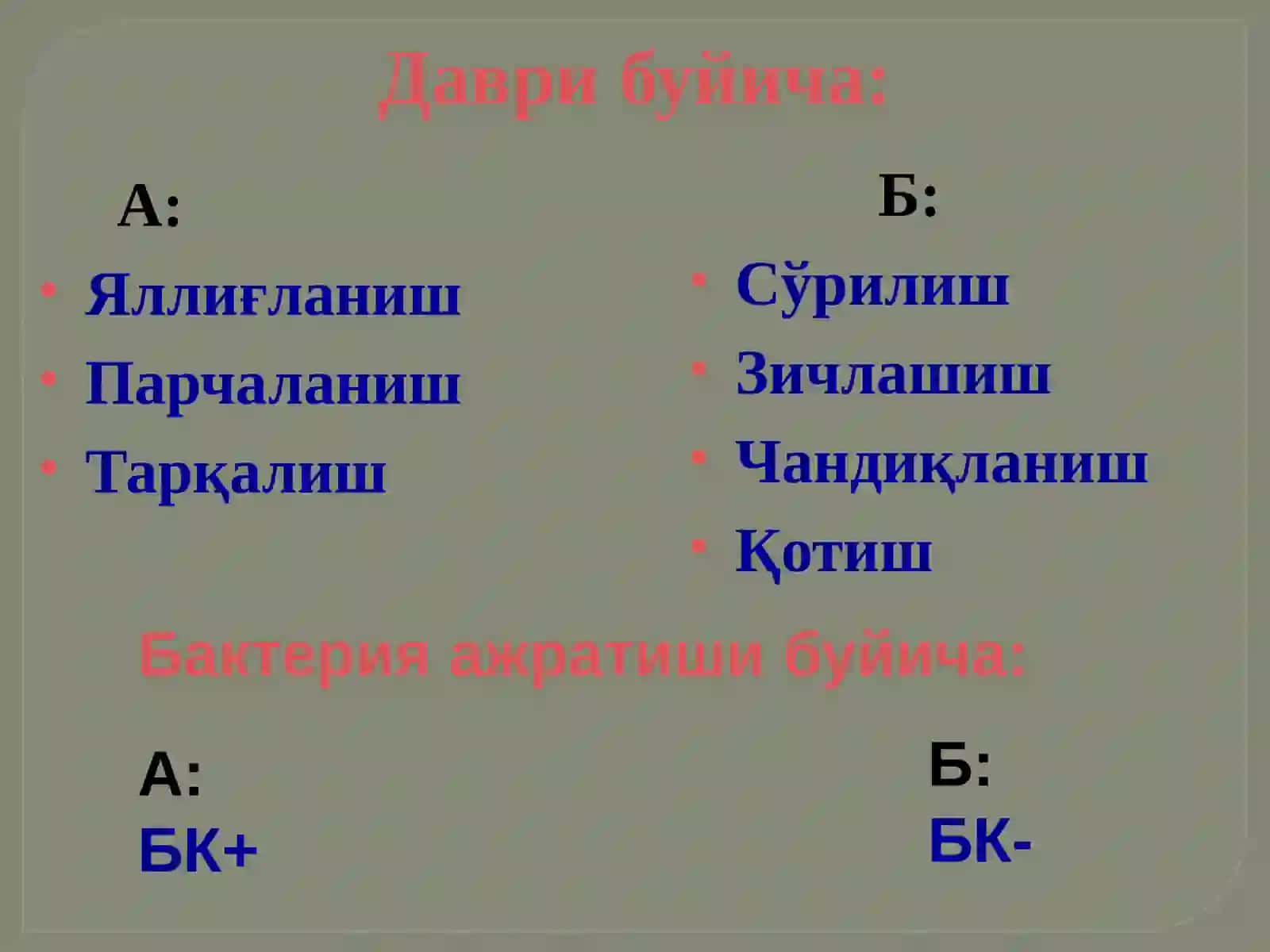 Сил касаллиги 4