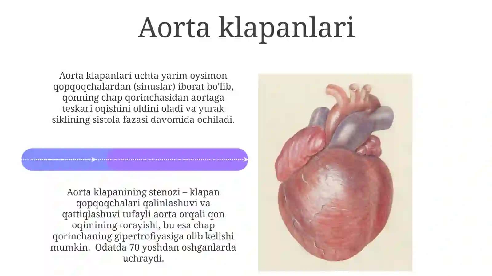 Aortaningtuzilishivazifasivapatalogiyasi 4