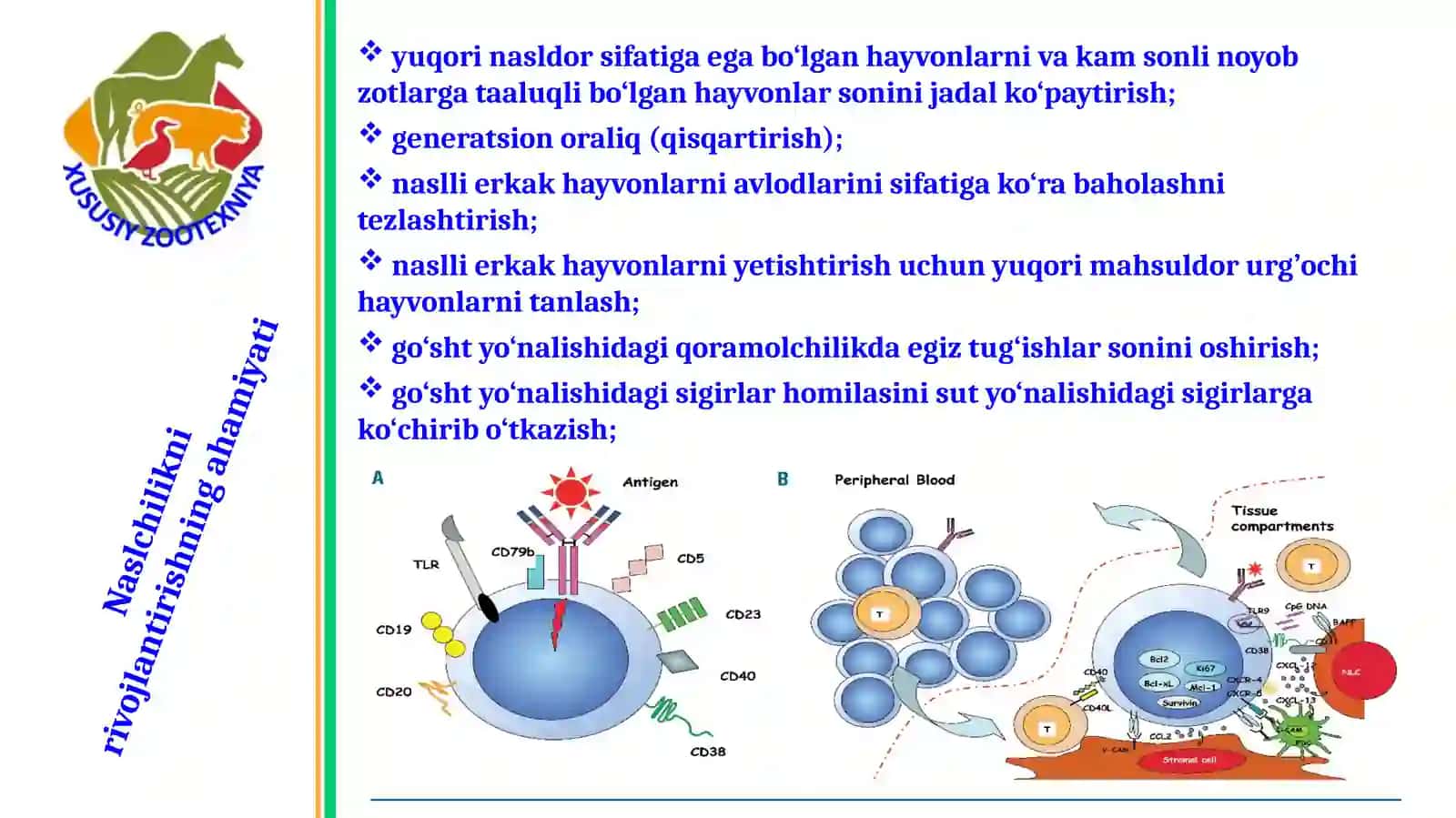 Naslchilikni Rivojlantirish Asoslari 4