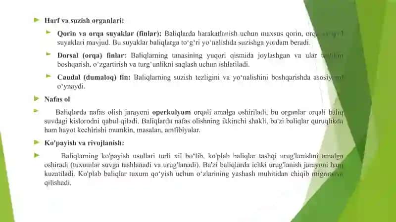 Baliqlar haqida umumiy tushuncha 4