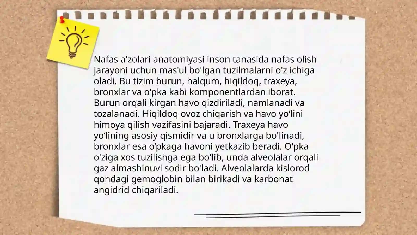 Nafas olish jarayoni.Nafas aʼzolarining rentgen anatomiyasi va rivojlanish nuqsonlari 4