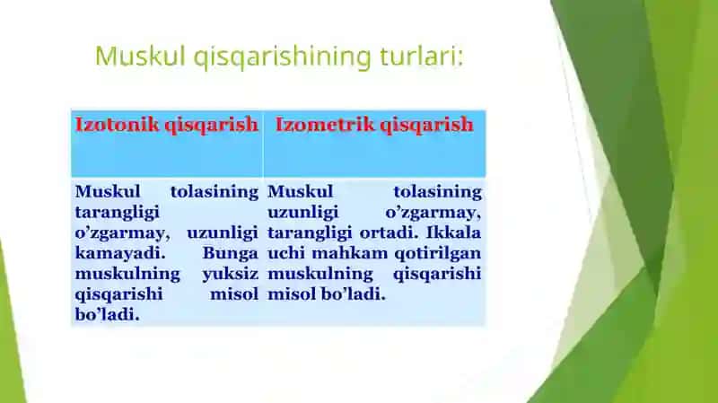 Mushaklar ishi va biomexanikasi 4