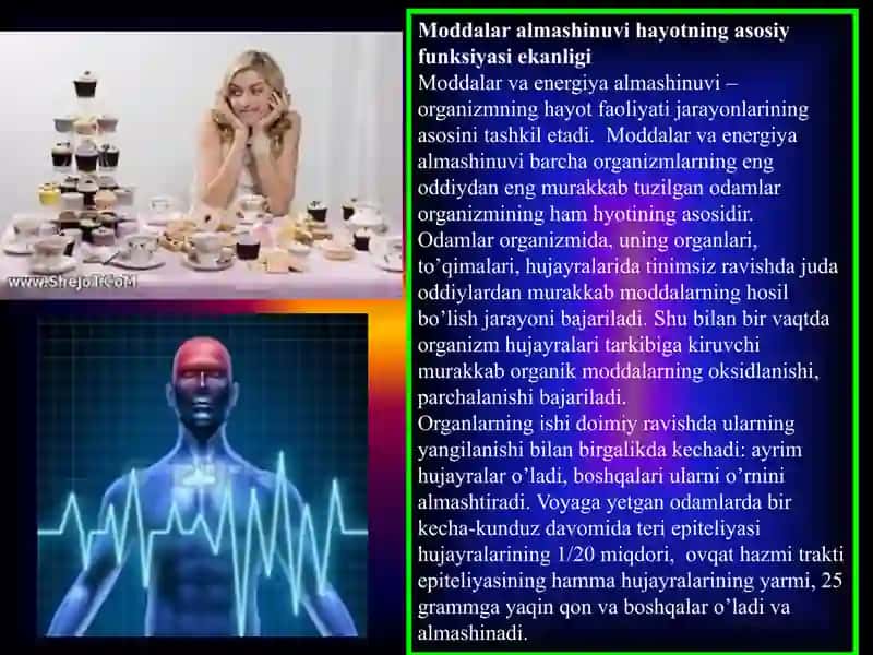 Xujayrada moddalar va energiya oqimi, informatsiyaning berilishi. 4