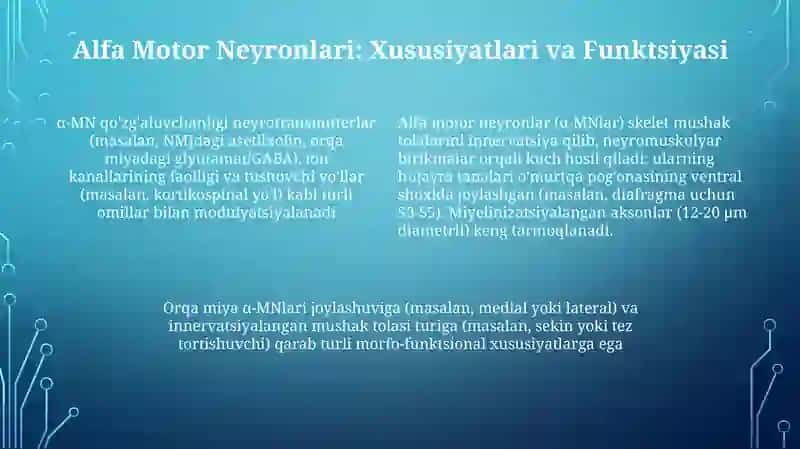 Orqa miyaning harakatlantiruvchi neyronlarining turlari 4
