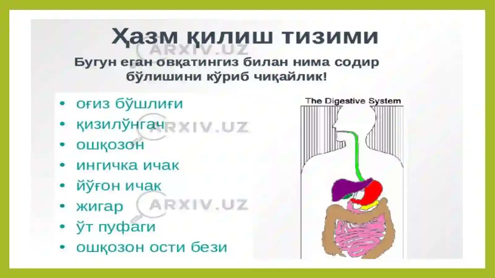 Ичкиаъзолар 4