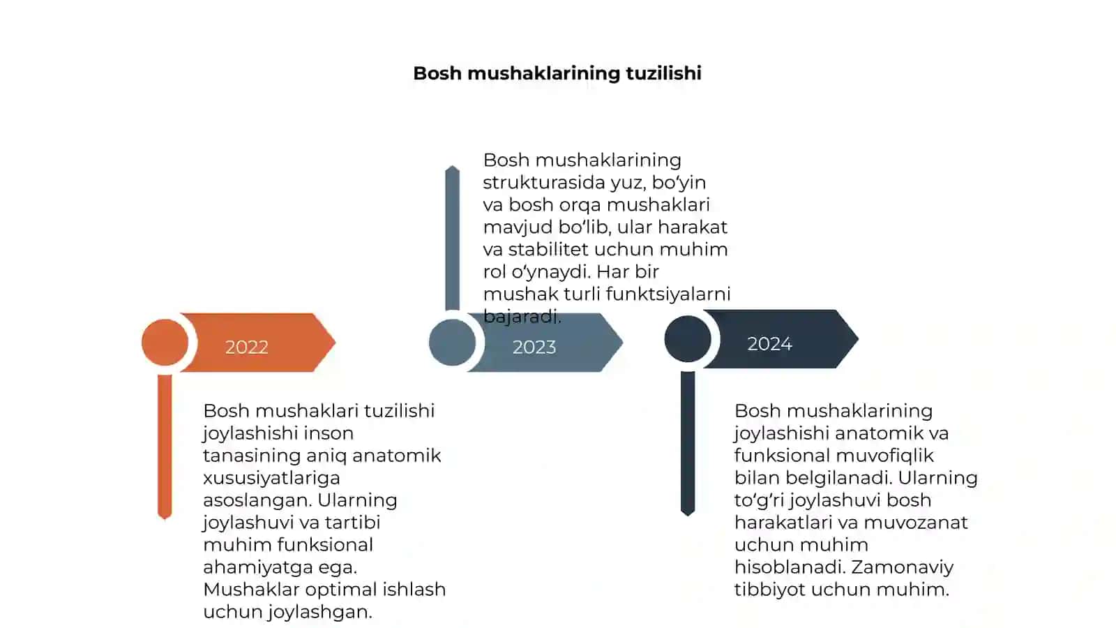 Bosh mushaklari tuzilishi joylashishi 4