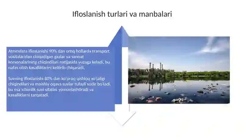 Atrof-muhit ifloslanishining populatsiyaga ta'siri 4