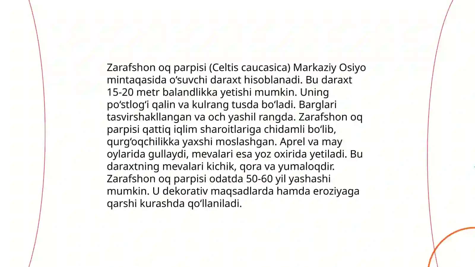 Mahammadjonova Mohlaroyning taqdimoti 4