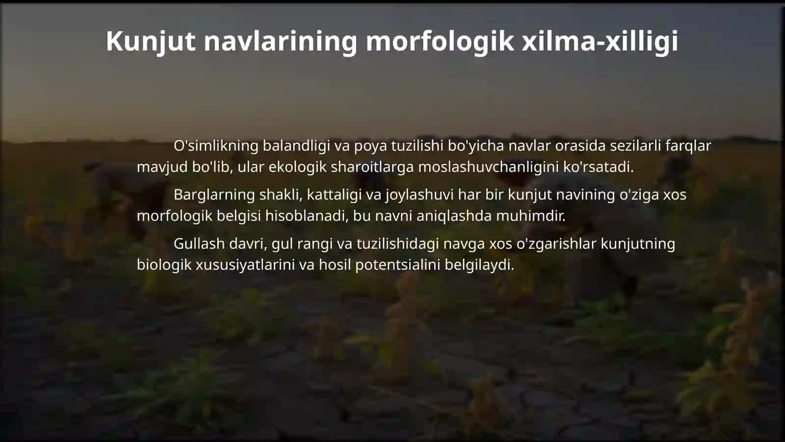Kunjut navlarining nav belgilari va xususiyatlari 4