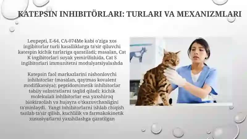 Katepsinlar ularning klinik ahamiyati 4