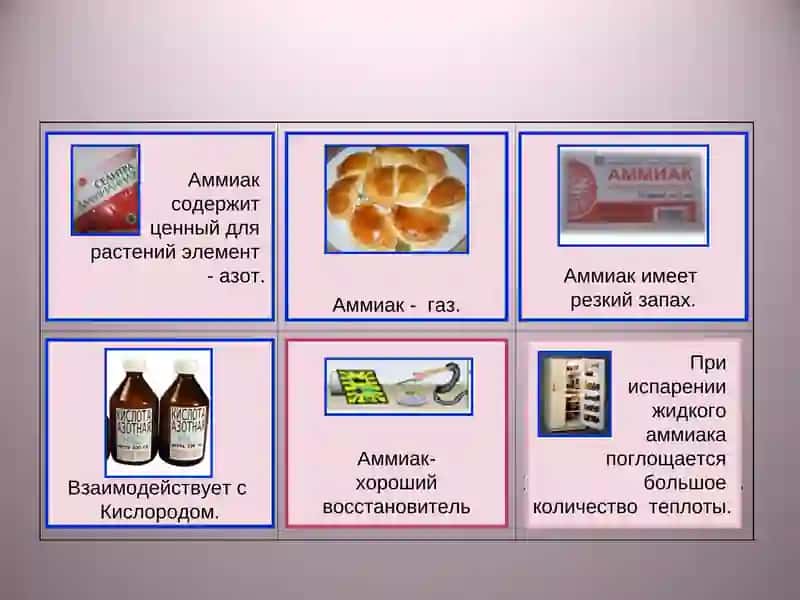 Химик технолог исси 4