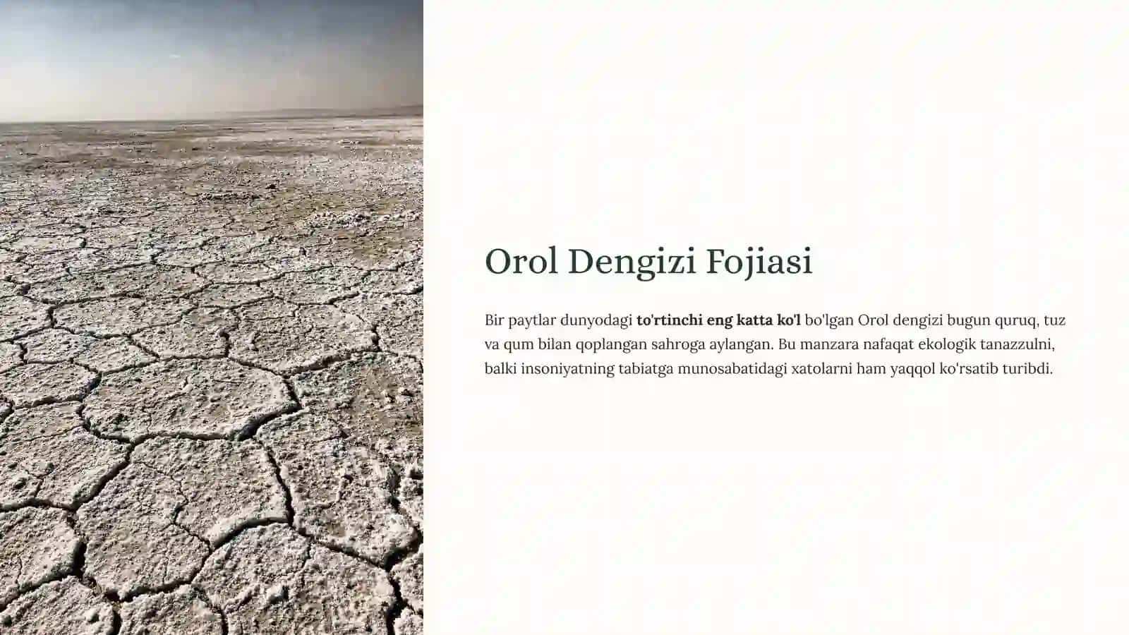 O'zbekistonning Ekologik Muammolari: Bugungi Kun Va Kelajak 4