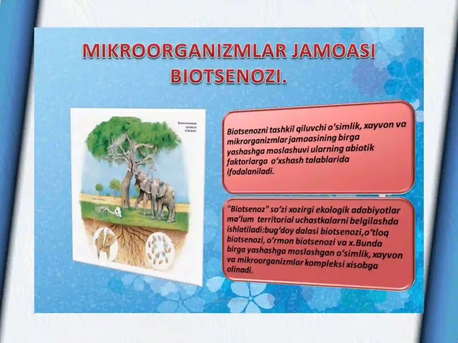 PROKARIOT ORGANIZM TUZILISHI 4