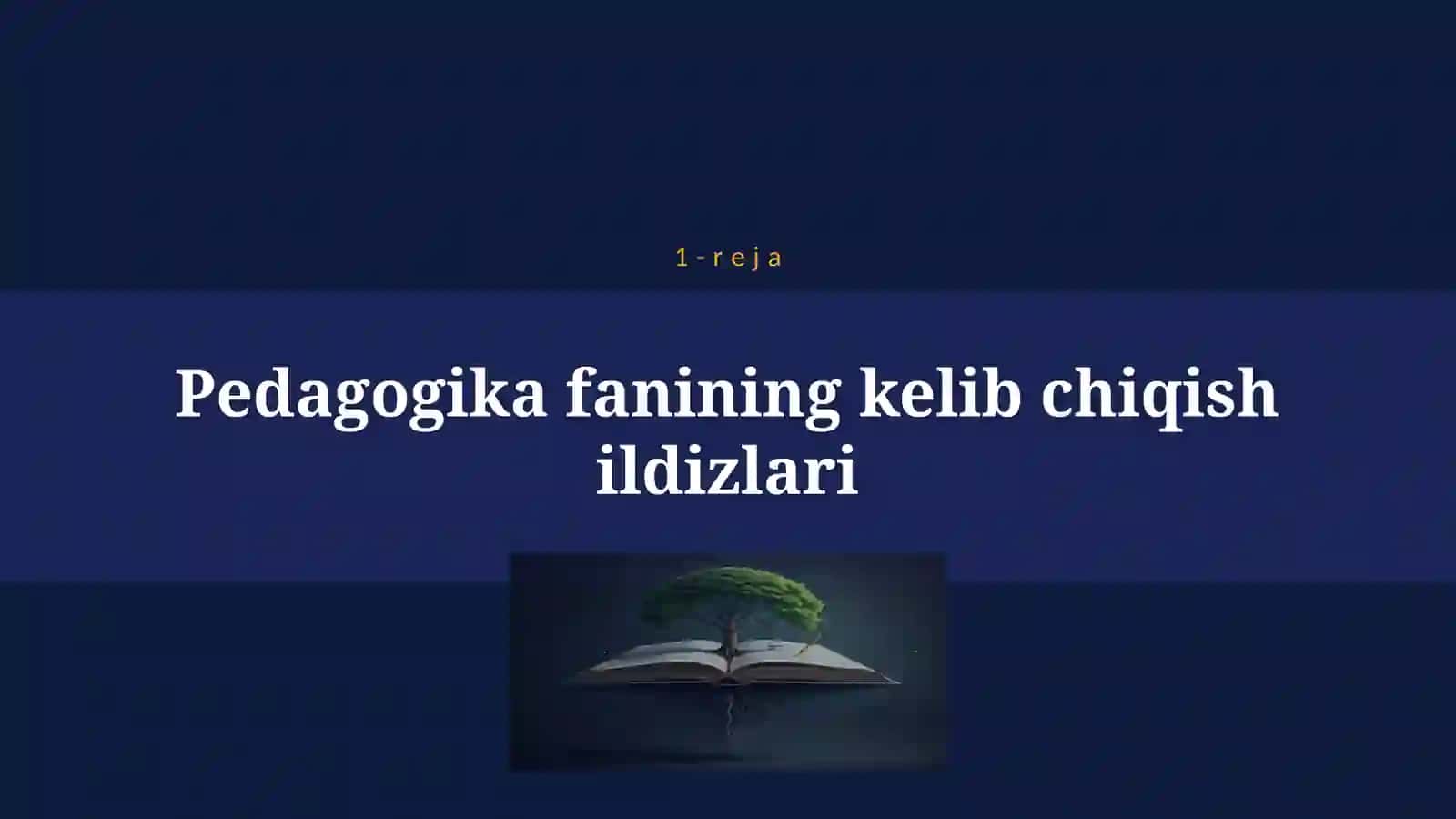 PEDAGOGIKA FANINING RIVOJLANISH TARIXI 4