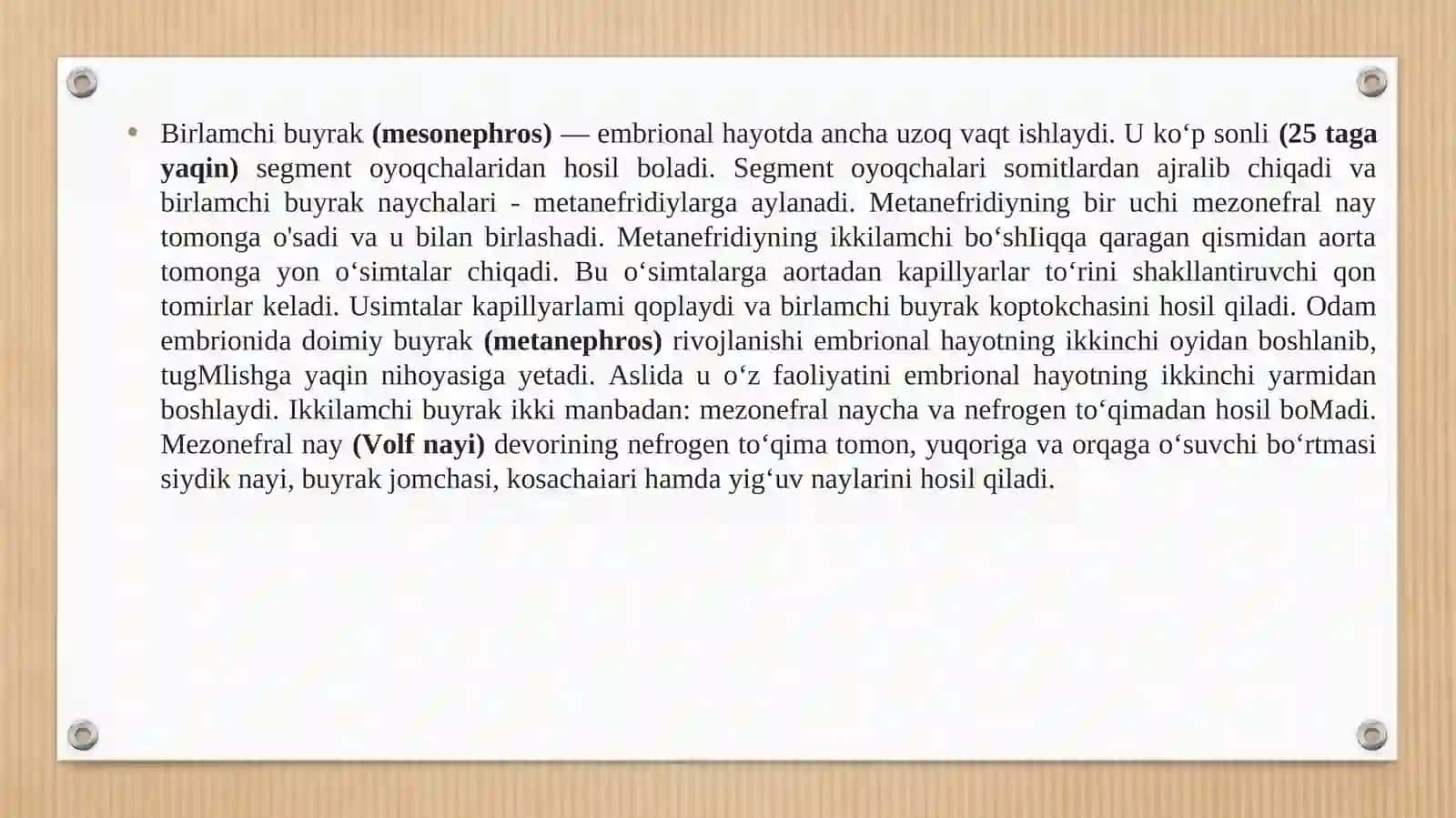 Ayruv sistemalari gistalogiyasi 4