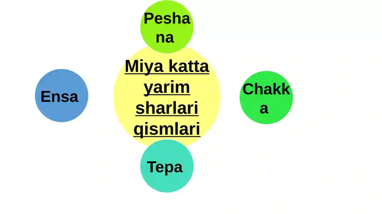 Boshmiyakattayarimsharlariningtuzilishi 4