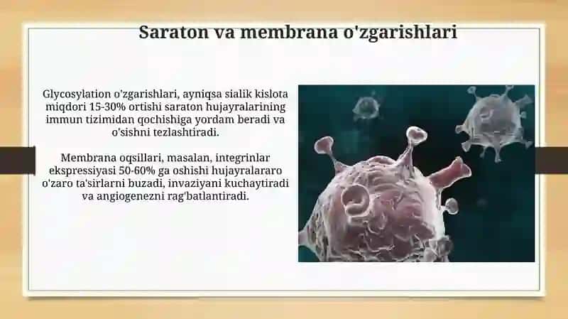 Membranalar bilan bog'liq kasalliklar 4
