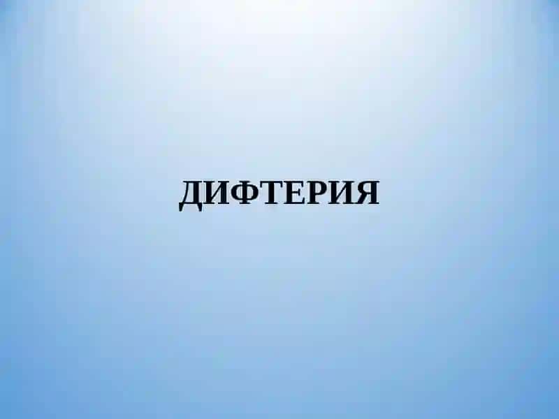 Патологик анатомия курси 4